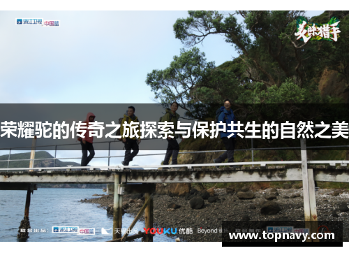 荣耀驼的传奇之旅探索与保护共生的自然之美